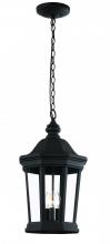  40406 BK - Westfield Hexagon Shaped, Clear Glass Outdoor Pendant Light with Chain